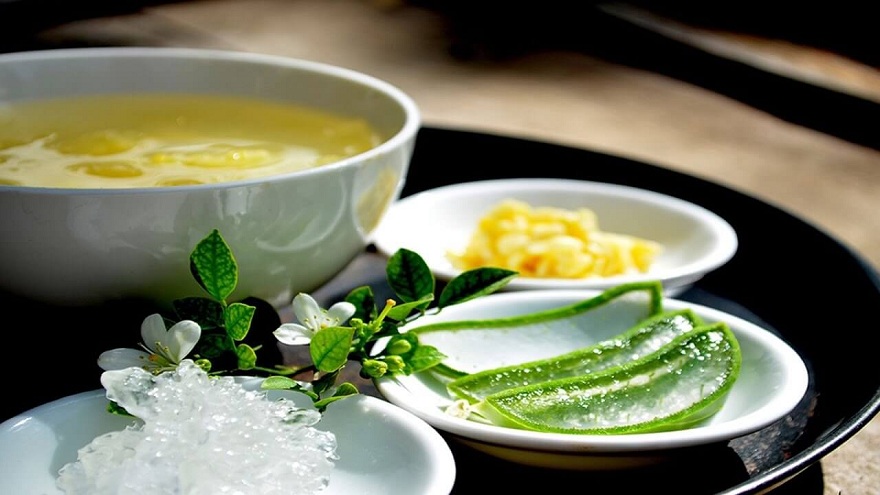 cay-lo-hoi-va-cay-nha-dam-co-giong-nhau-khong-6