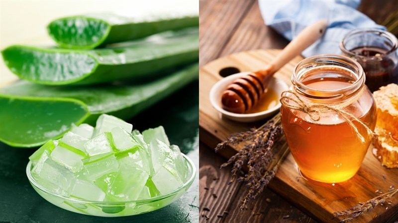 tac-dung-cua-cay-lo-hoi-va-mat-ong-1