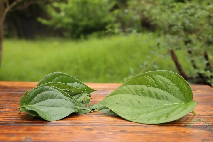 tri-hoi-vung-kin-sau-sinh-6