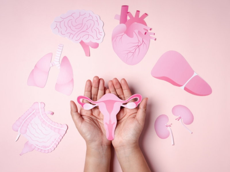 vung-kin-co-mui-hoi-khong-ngua-2