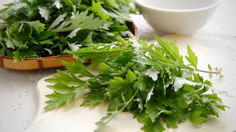 vung-kin-co-mui-kham-4