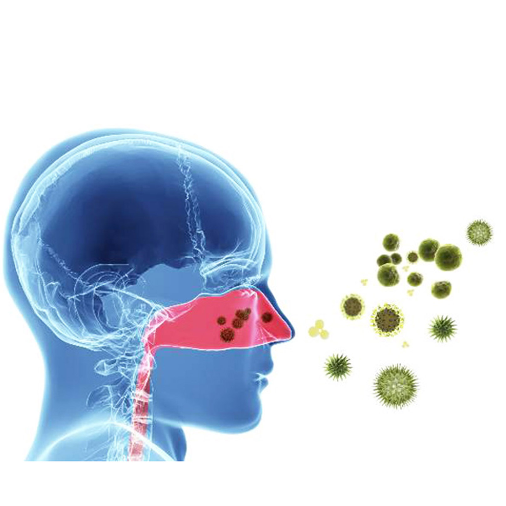 Nhiều yếu tố trong môi trường khiến viêm niêm mạc mũi kéo dài và dễ tái phát.