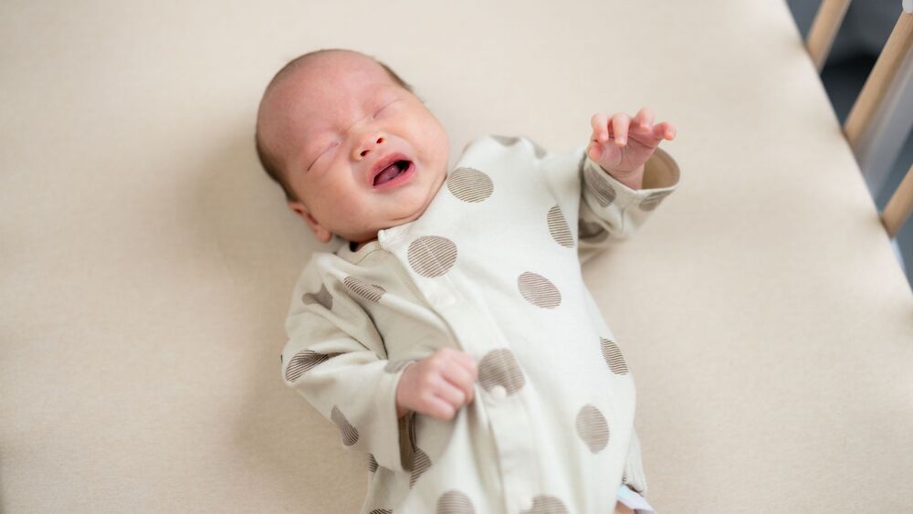 be-hay-van-minh-do-mat-va-oc-sua-1