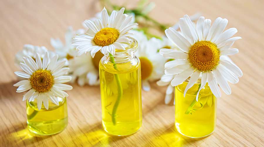 cuc-la-ma-trong-my-pham-1