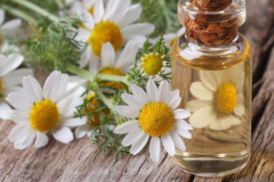 cuc-la-ma-trong-my-pham-5