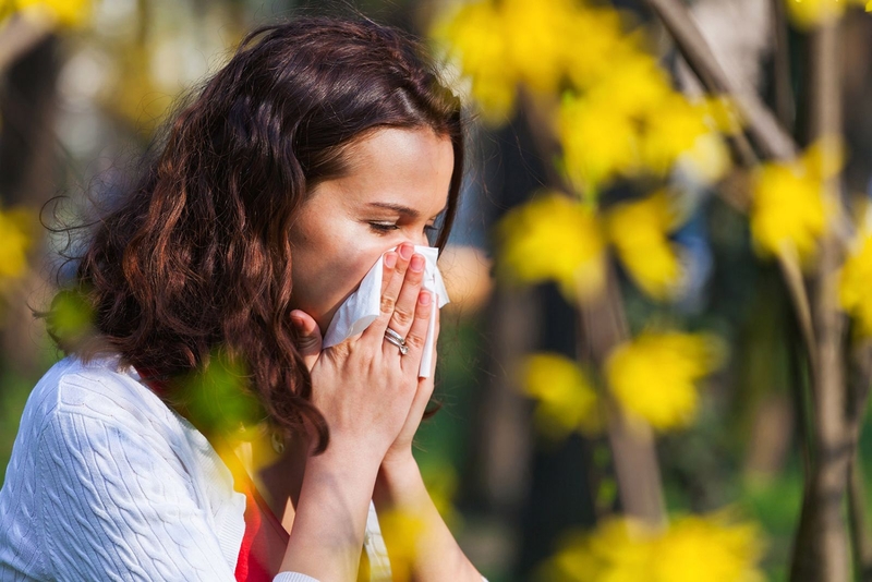 Phấn hoa và mạt bụi là thủ phạm gây sưng niêm mạc mũi.