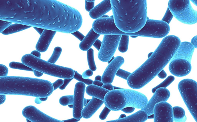 men-vi-sinh-ngay-uong-may-lan-1