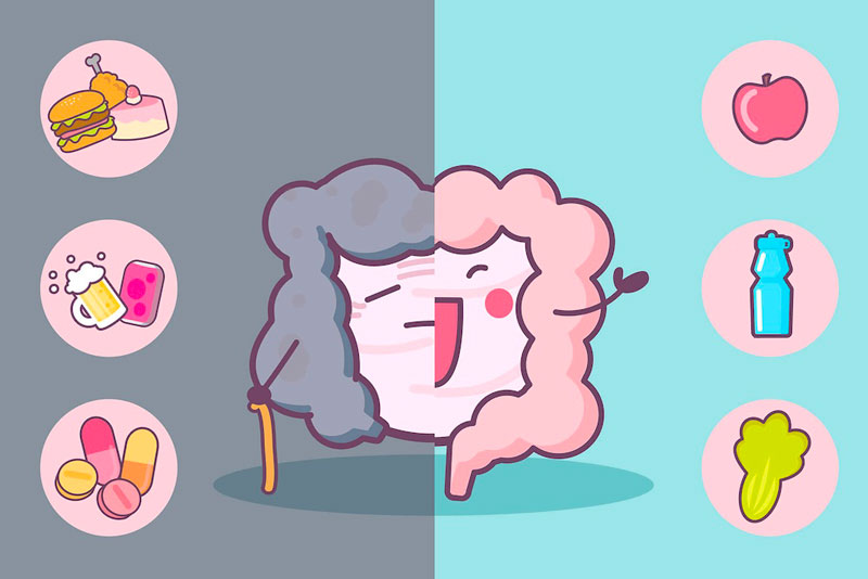 men-vi-sinh-uong-bao-lau-thi-ngung-3