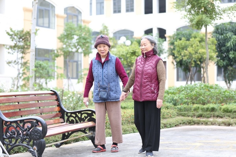 meo-chua-tao-bon-cho-nguoi-gia-3