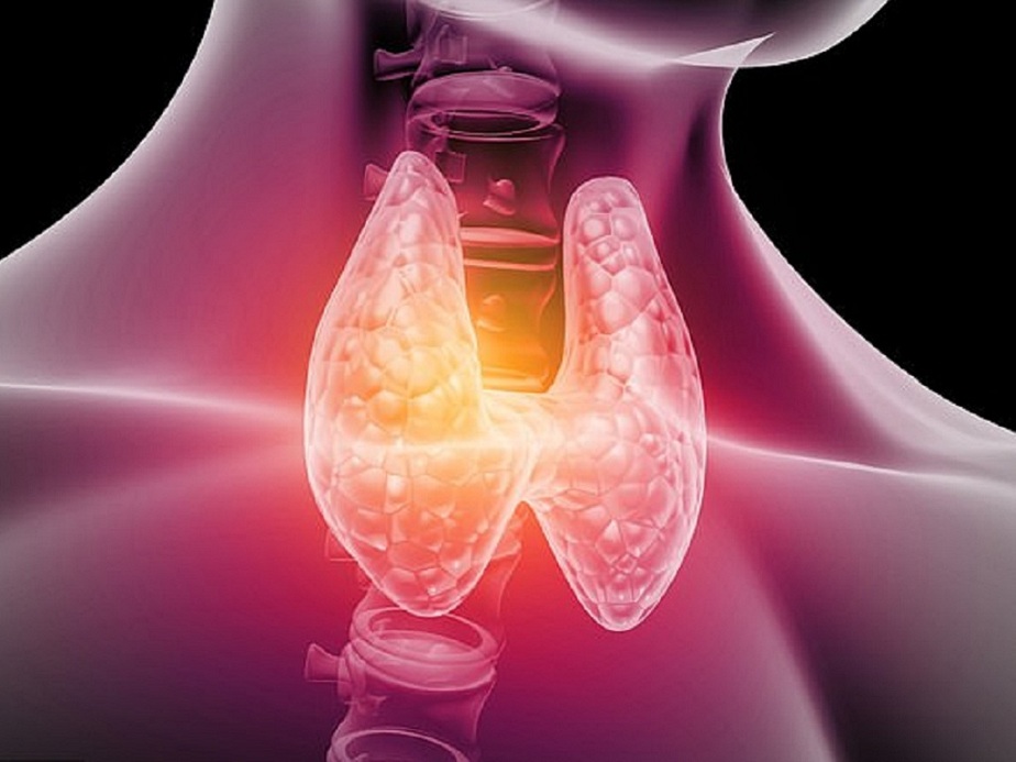 nguyen-nhan-tao-bon-o-nguoi-gia-3