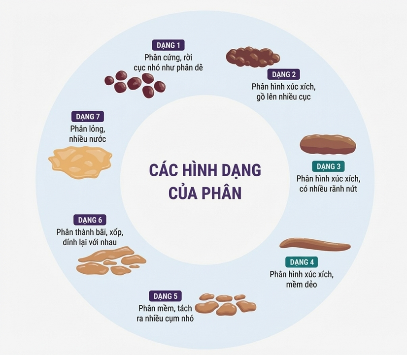 tao-bon-o-ba-bau-3-thang-dau-12