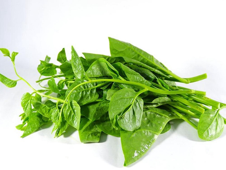 tao-bon-o-nguoi-lon-nen-an-gi-2