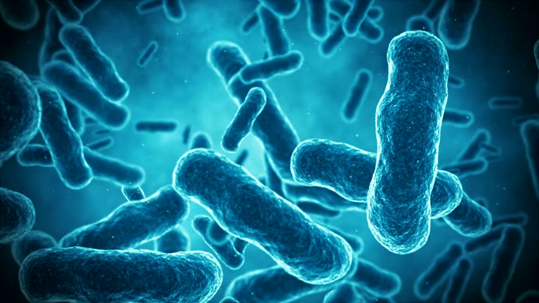 trieu-chung-tao-bon-o-nguoi-lon-4