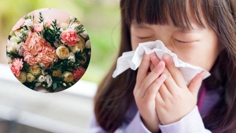 Viêm mũi dị ứng do phấn hoa hoàn toàn không lây nhiễm. Vậy Viêm mũi có lây không