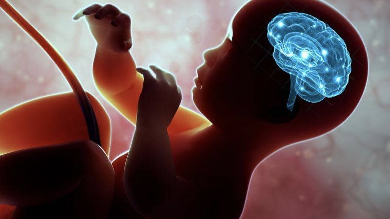 an-gi-de-con-thong-minh-tu-trong-bung-me-1