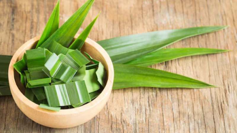 bai-thuoc-chua-benh-tieu-duong-3