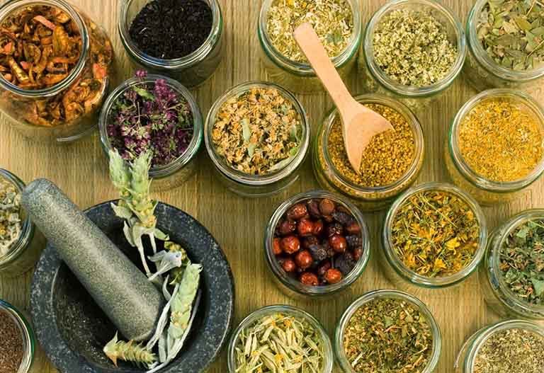 bai-thuoc-chua-benh-tieu-duong-4