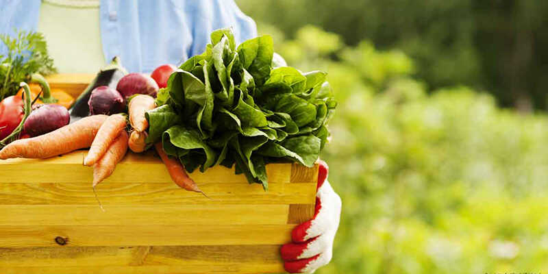 can-bo-sung-gi-truoc-khi-mang-thai-2