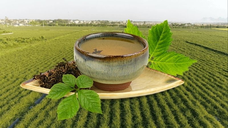 cay-thuoc-nam-chua-benh-tieu-duong-2