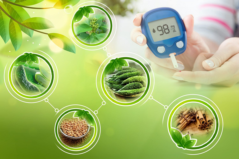 chua-benh-tieu-duong-bang-thuoc-nam-1