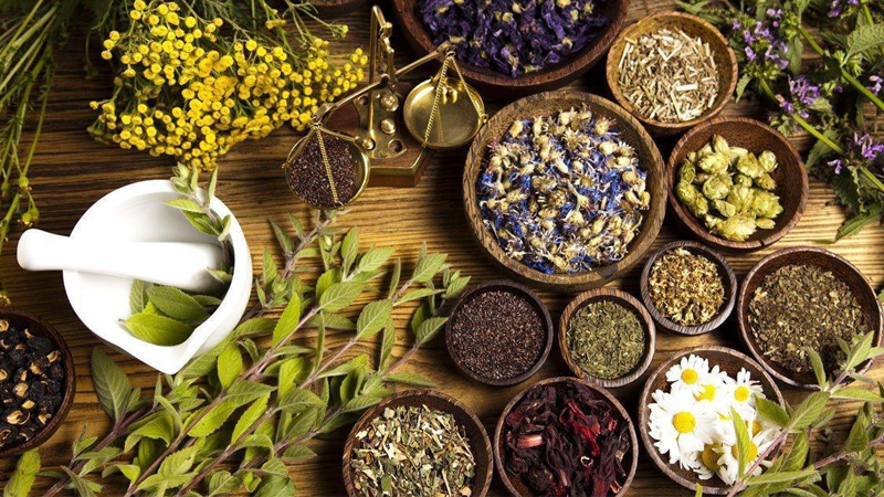 dieu-tri-tieu-duong-bang-thuoc-nam-1