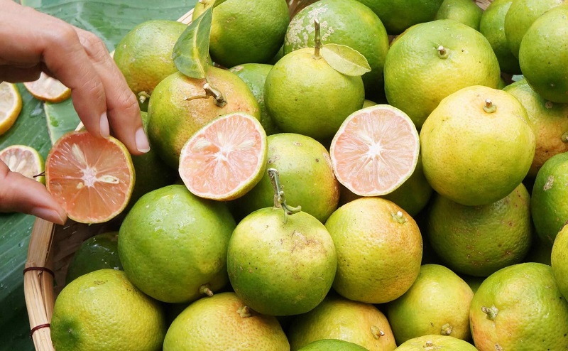 cach-ngam-chanh-dao-mat-ong-2