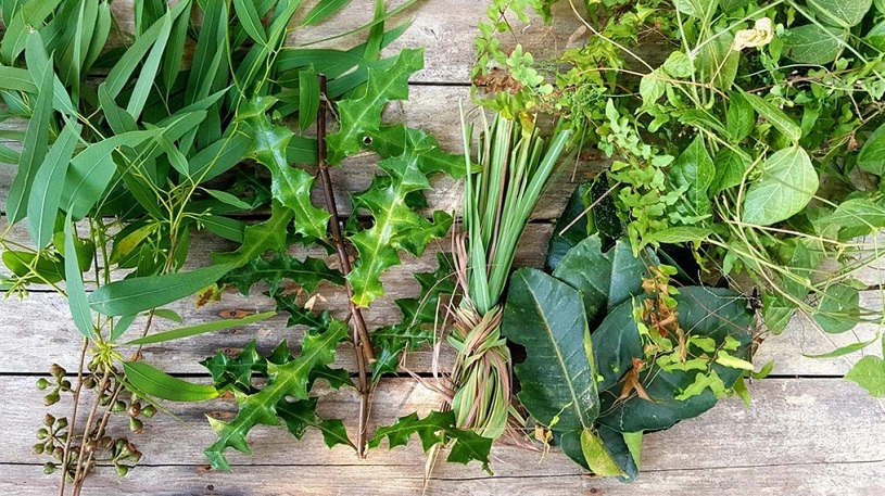 cach-tri-ho-cho-be-tai-nha-3