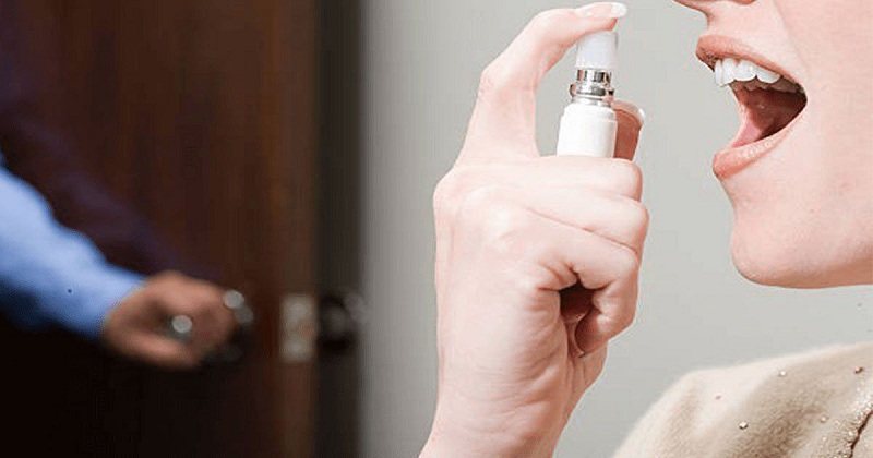 cat-con-ho-ngay-lap-tuc-3