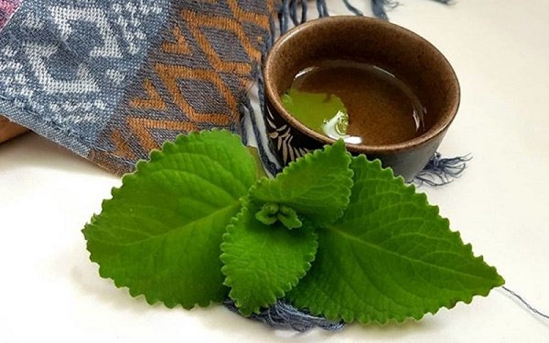 la-hung-chanh-tri-ho-cho-nguoi-lon-4.