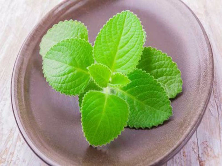 la-hung-chanh-tri-ho-cho-nguoi-lon-5