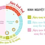 lam-sao-de-kinh-nguyet-deu-1