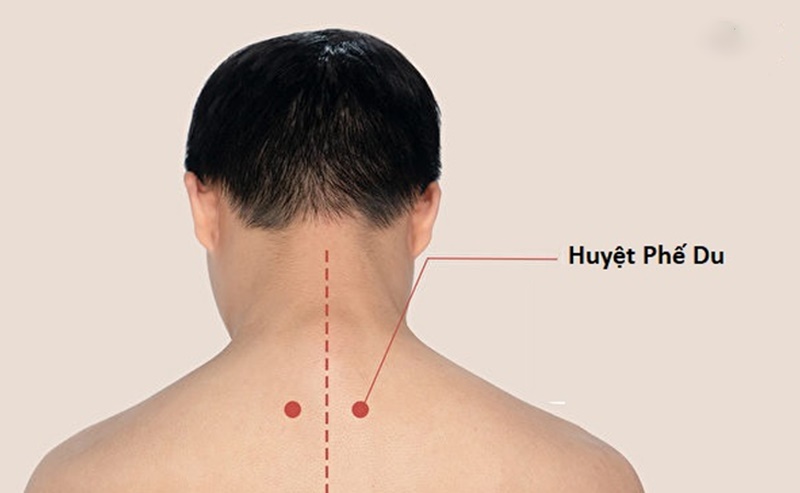 cach-bam-huyet-tieu-dom-1