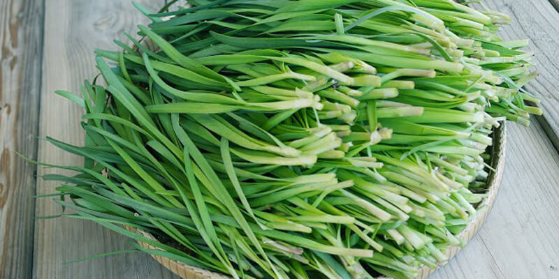 la-he-hap-duong-phen-1