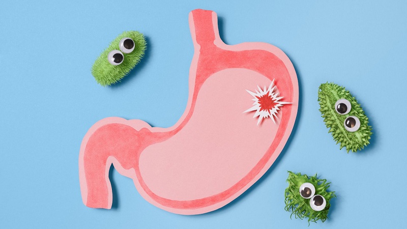 nhiem-vi-khuan-hp-trong-da-day-1