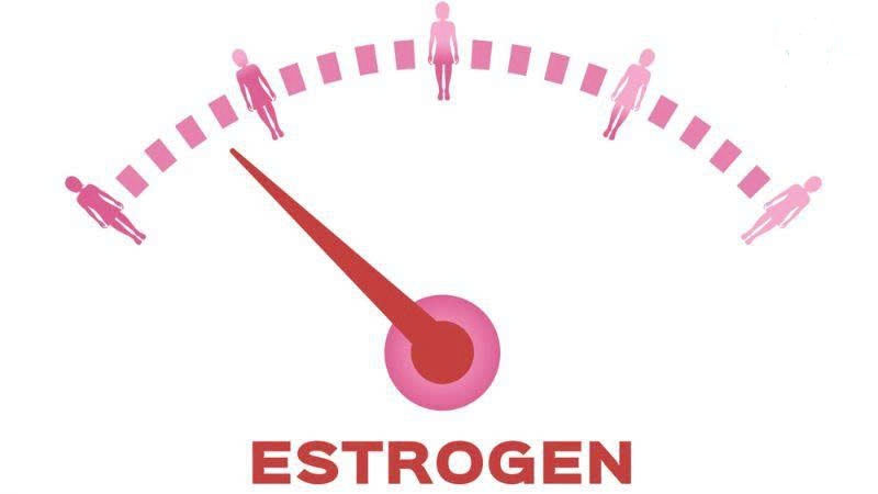 thuoc-cho-phu-nu-tien-man-kinh-1