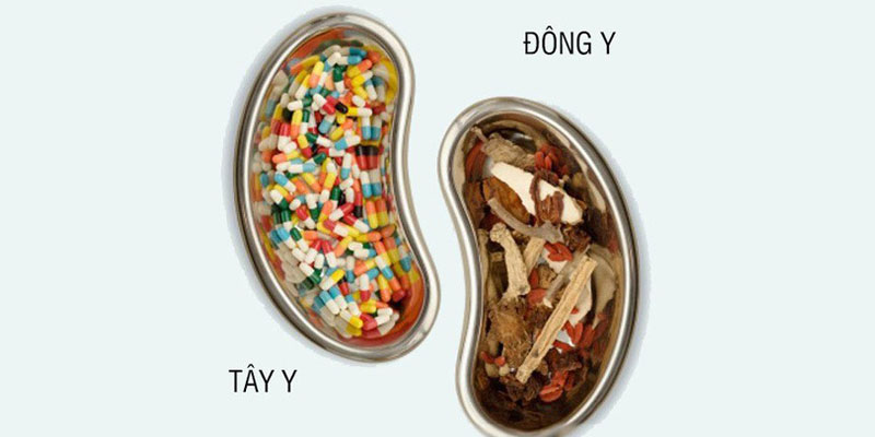 thuoc-dong-y-chua-benh-tieu-duong-3