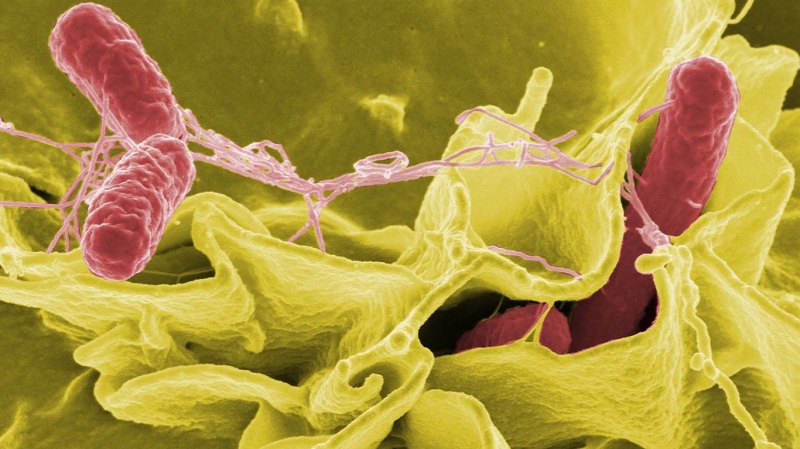 thuoc-tri-viem-loet-da-day-1