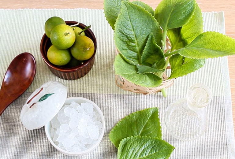 cach-tri-ho-bang-rau-tan-day-la-2