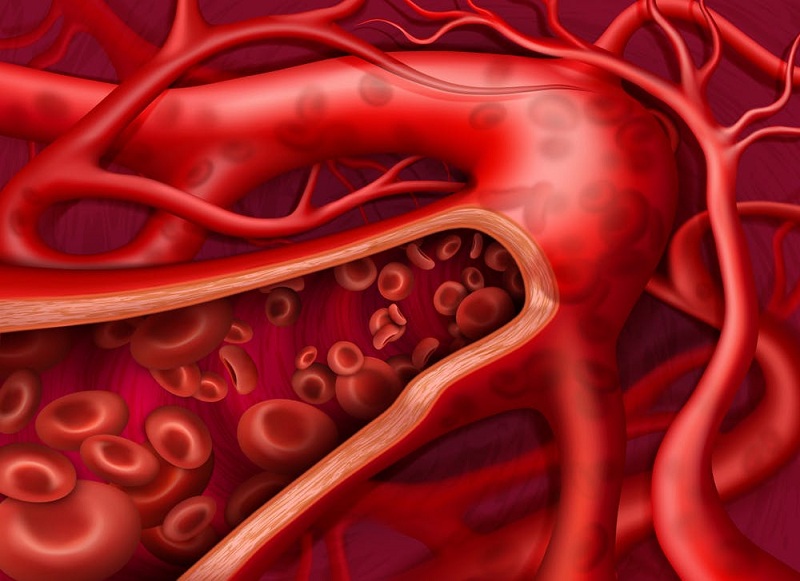 luu-thong-khi-huyet-1