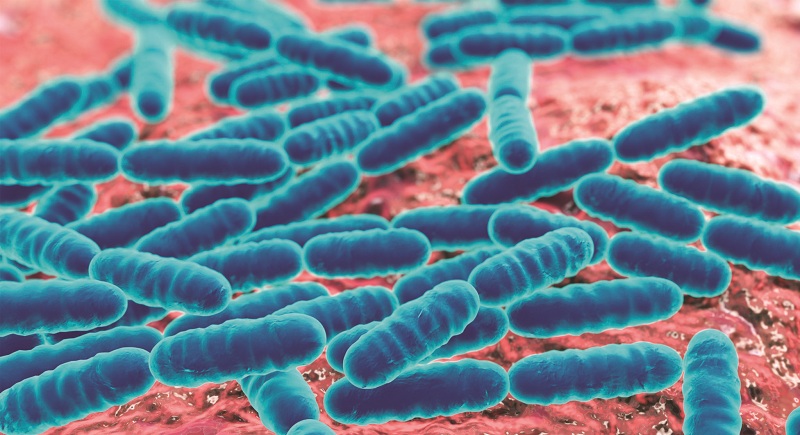 men-vi-sinh-cho-phu-nu-1