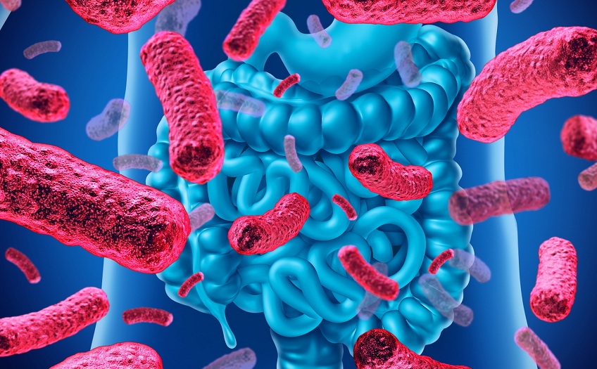 phan-biet-men-vi-sinh-va-men-tieu-hoa-3