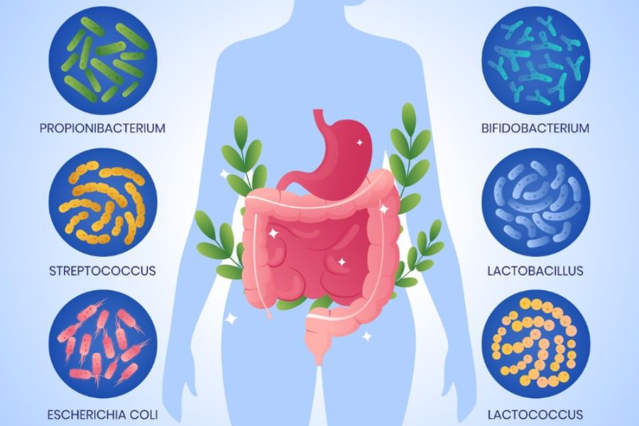 thuoc-bo-sung-loi-khuan-duong-ruot-1