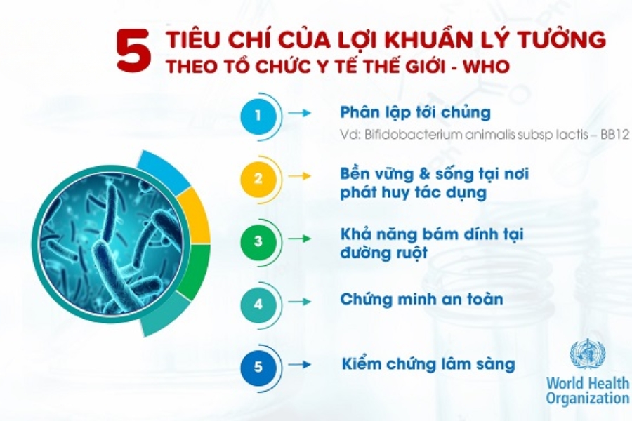 thuoc-bo-sung-loi-khuan-duong-ruot-4