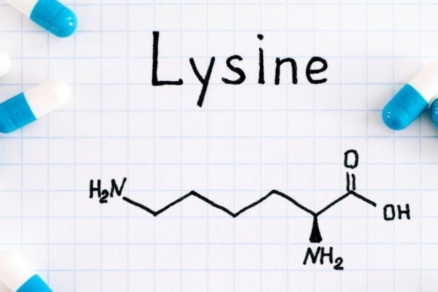 tre-bieng-an-can-bo-sung-gi-3