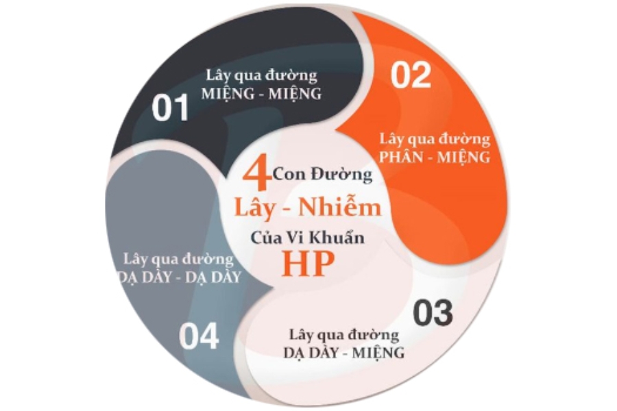 vi-khuan-hp-da-day-3