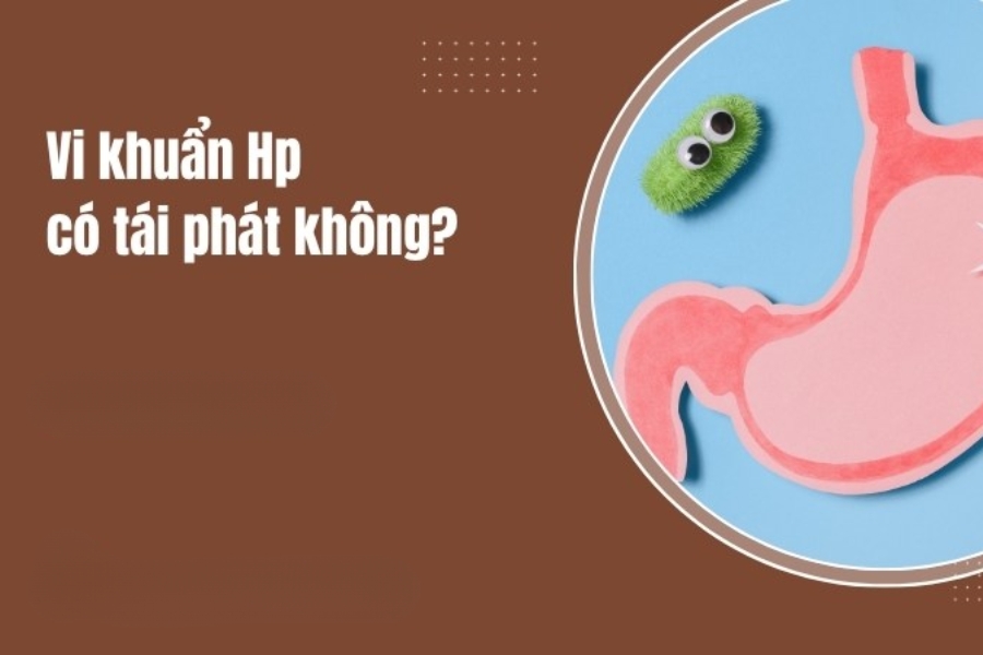vi-khuan-hp-la-gi-4