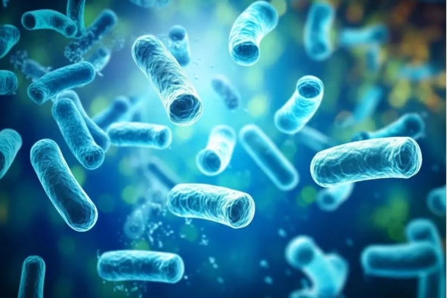 vi-khuan-lactobacillus-5