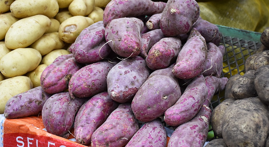 me-sau-sinh-bi-tao-bon-di-ngoai-ra-mau-2