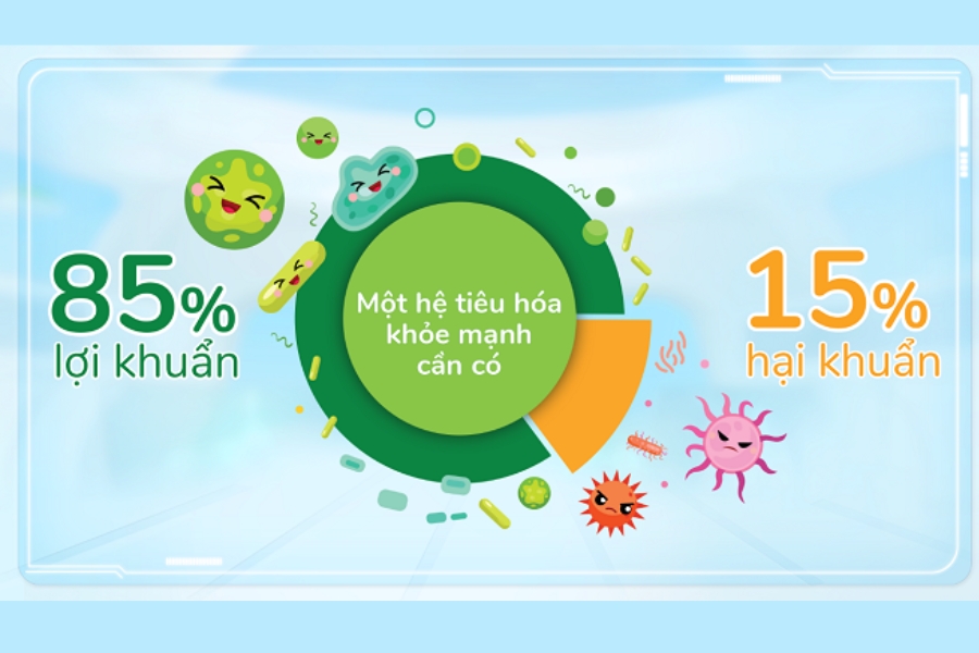 nhung-nguyen-nhan-pho-bien-gay-roi-loan-he-vi-sinh-1