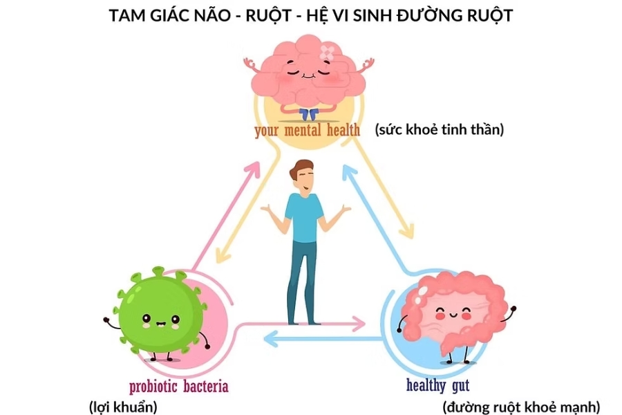 stress-co-anh-huong-den-he-vi-sinh-khong-1
